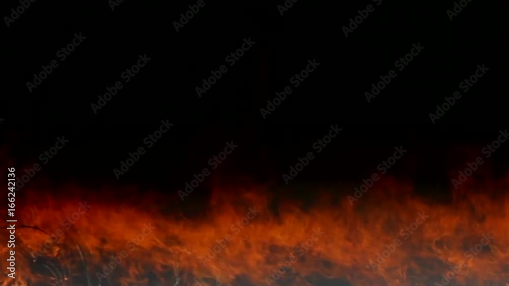 Forest in the night. Flame spontaneous disaster for environment, Threat of large fires. Uncontrolled spread of fire for forest land. Forest in the night. Flame spontaneous disaster for environment, Threat of large fires. Uncontrolled spread of fire for forest land.