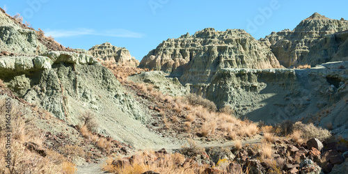 Surrealistic panoramic landscape in John Day Fossil Beds National Monument Blue Basin area with grey-blue badlands. A branched ravine and Heavily eroded formations.