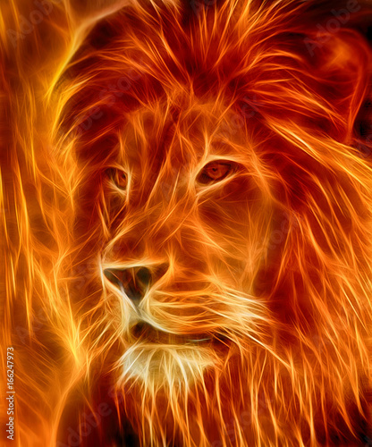 Fototapeta Naklejka Na Ścianę i Meble -  lion laser on fire