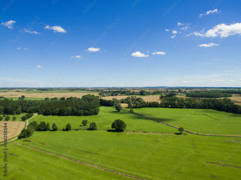 Aerial view with green meadow and forest