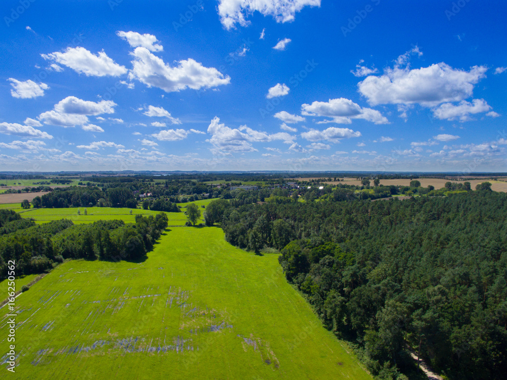 Obraz premium Aerial view with green meadow and forest