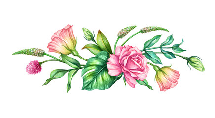 watercolor botanical illustration, pink rose flowers, tropical green leaves, floral bouquet, border, isolated on white background