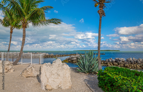 Ocean View With Palm Trees and Rocks and Beautiful Clouds photo