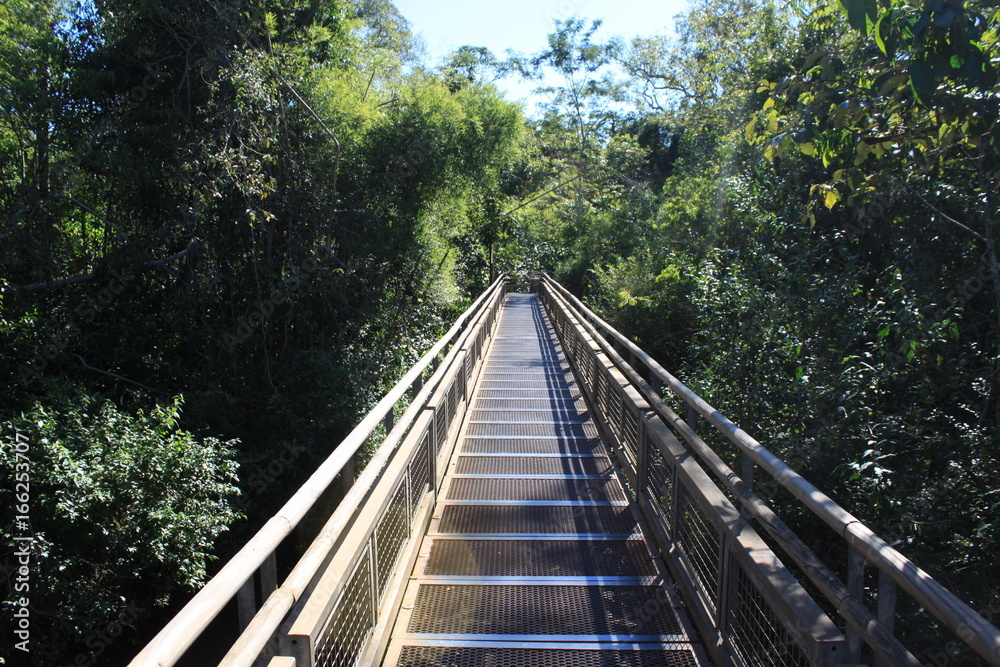 Fototapeta premium Nature in South America