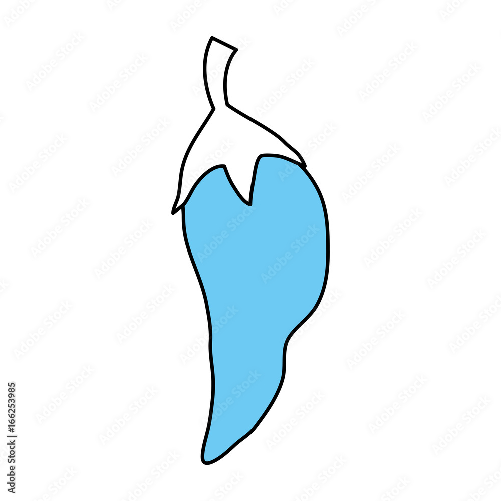 pepper vector illustration pepper vector illustration