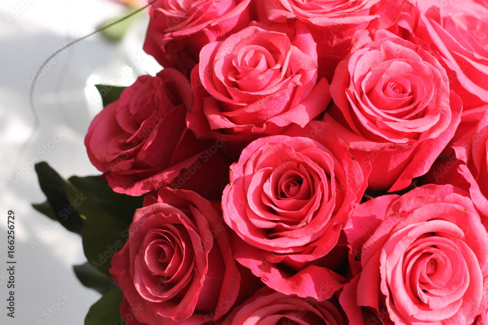 Fototapeta premium Blumenstrauß Pink Close Up