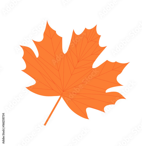 Maple leaf icon, flat, cartoon style. Isolated on white background. Vector illustration