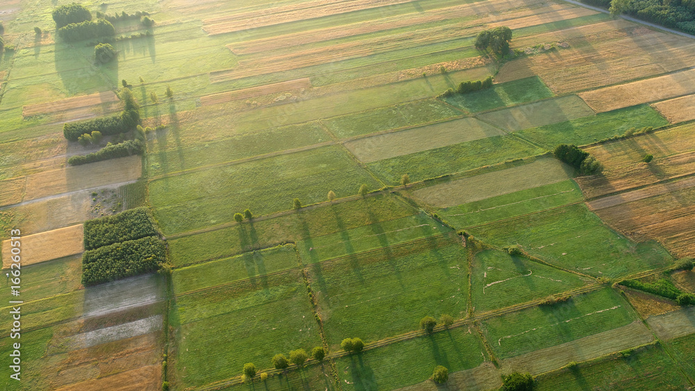 Fototapeta premium Aerial landscape