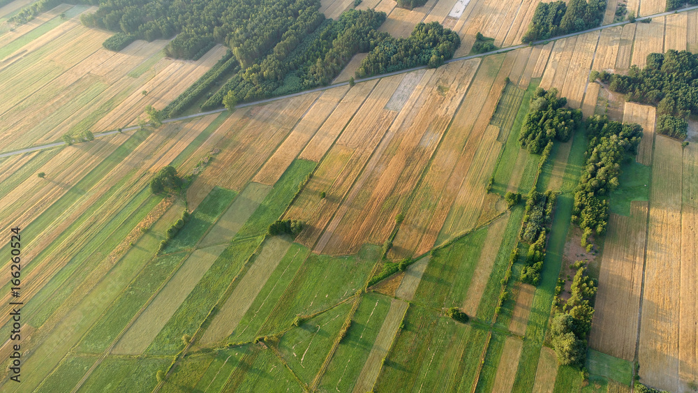 Fototapeta premium Aerial landscape