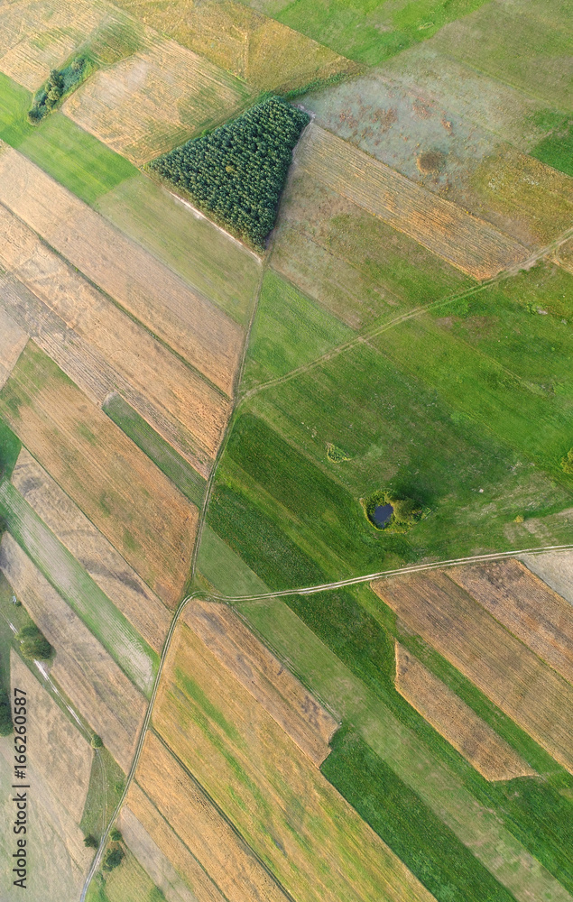 Fototapeta premium Aerial landscape