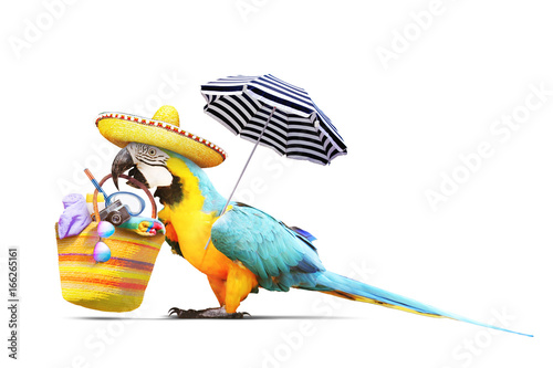 Papagei als Paradiesvogel am Strand freigestellt - Urlaub Konzept