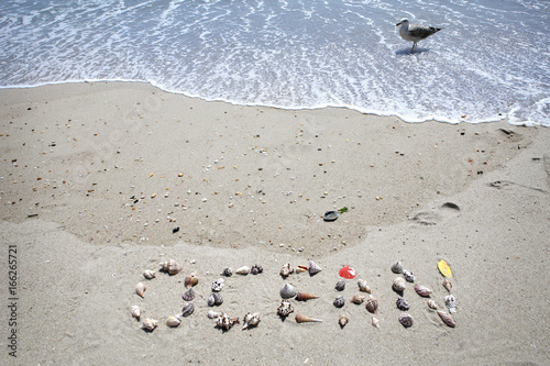 O C E A N in the sand
