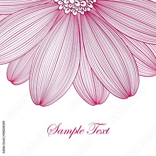Hand drawing abstract floral background. Vector flower chamomile. Element for design.