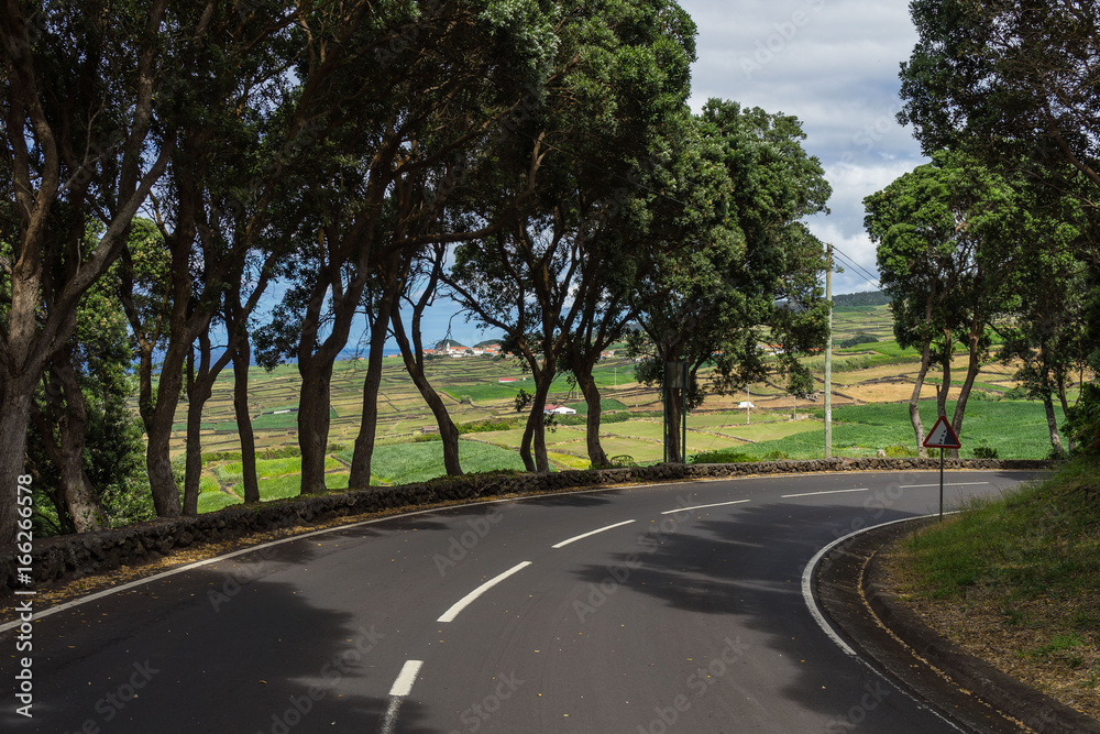 Scenic road bend outside  forest in Terceira island, Azores, Portugal