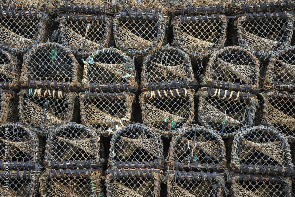 fish traps