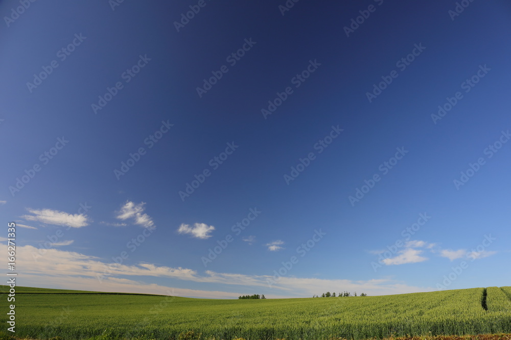 Landscape of Biei Hokkaido Japan Landscape of Biei Hokkaido Japan