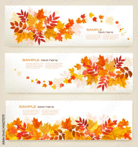 Fototapeta Set of abstract autumn banners with colorful leaves Vector