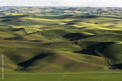 Photos The palouse landscape from Steptoe Butte near Colfax, WA
