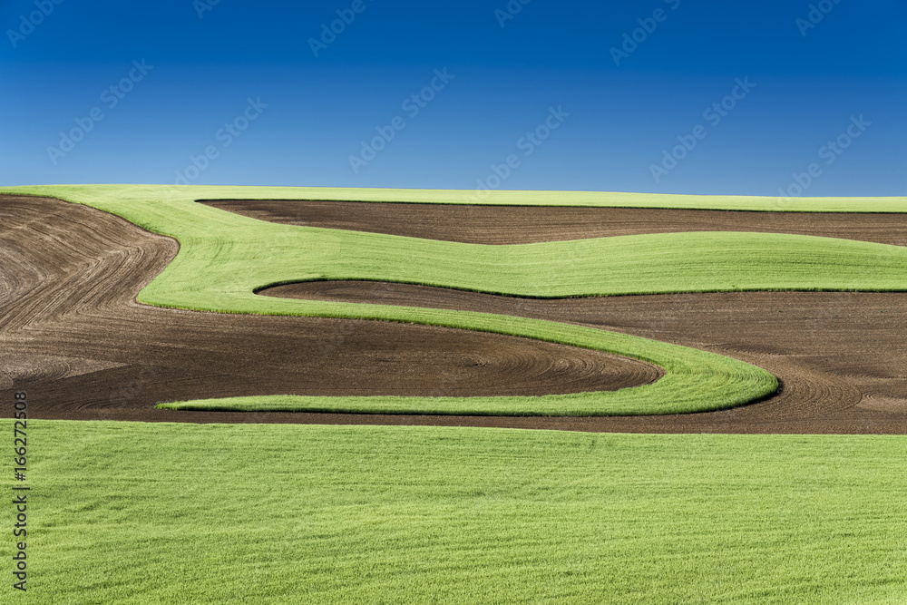 Cultivation patterns in the Palouse near Colfax, WA