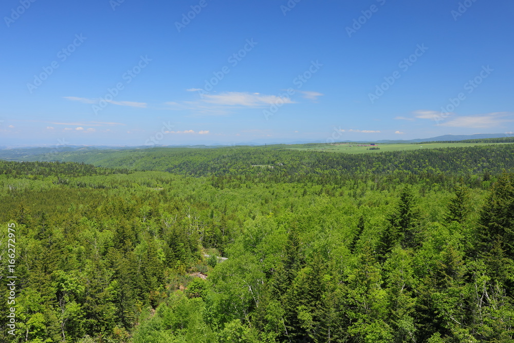 Obraz premium Landscape of Biei Hokkaido Japan