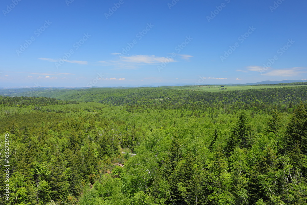 Landscape of Biei Hokkaido Japan