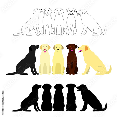 set of labrador retriever group