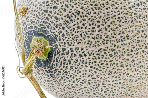 Close up the top of Hamigua melon (sweet cantaloupe melon) isolated on white background. photo