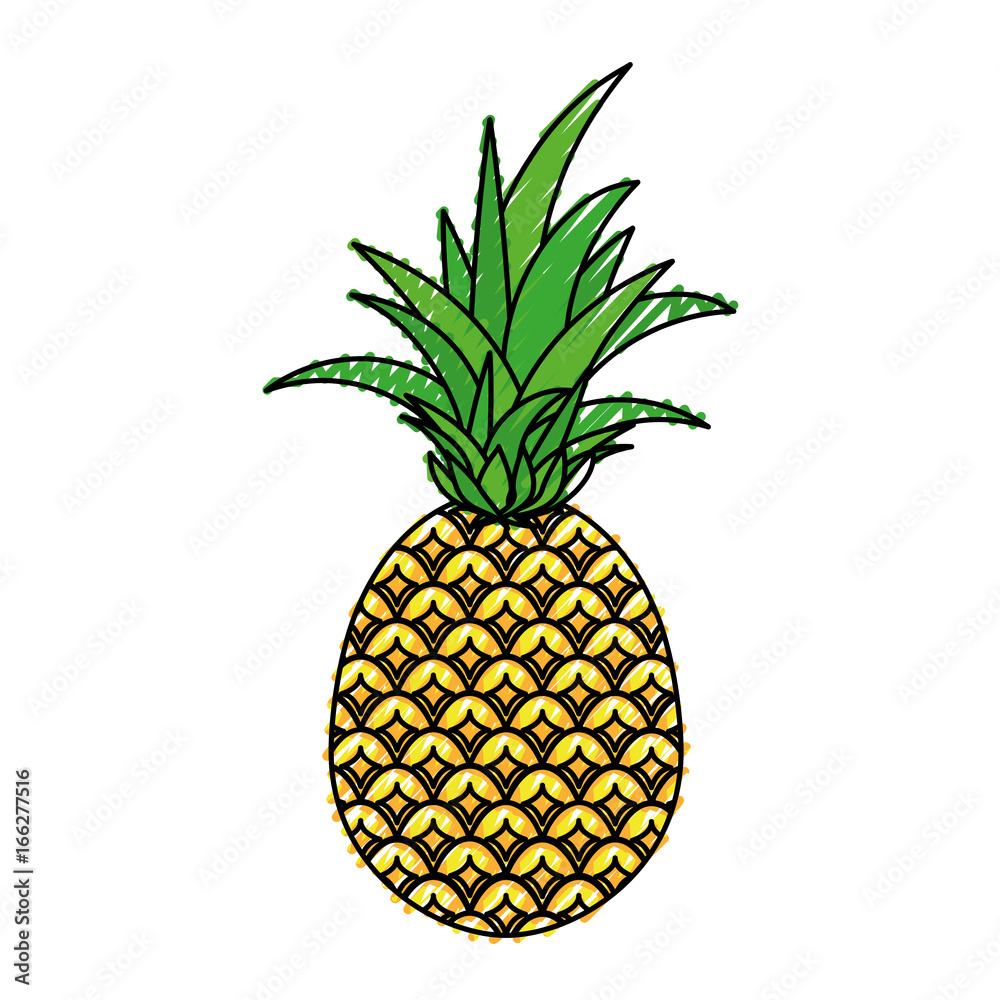 Pineapple delicious fruit