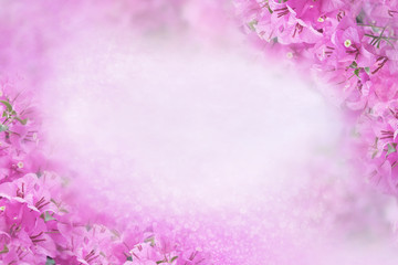 purple flower Bougainvillea frame on soft pink background with bokeh and glitter light,copy space 