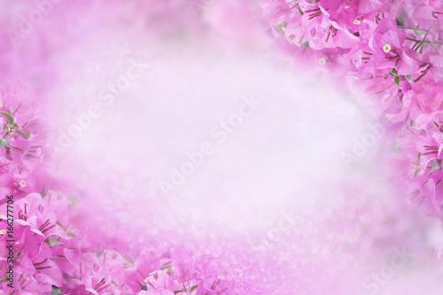 purple flower Bougainvillea frame on soft pink background with bokeh and glitter light,copy space
