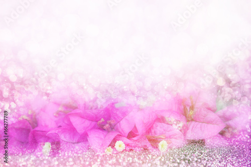 purple flower Bougainvillea on bokeh land glitter light soft background with copy space 