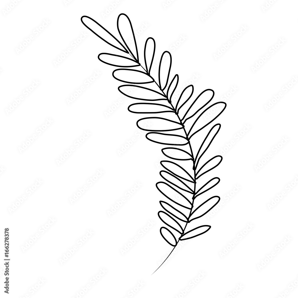 white background with monochrome silhouette of long branch with leaves oval