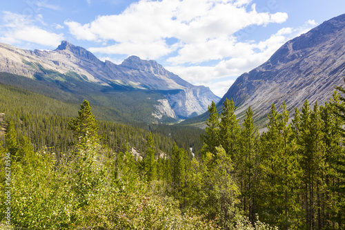 Athabasca river view West Canada