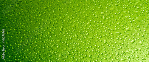 Water drops for background