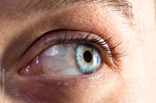 Details of woman blue eye