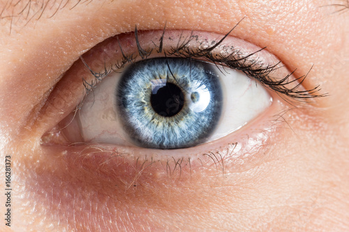 Fototapeta Naklejka Na Ścianę i Meble -  Datails of female deep blue eye