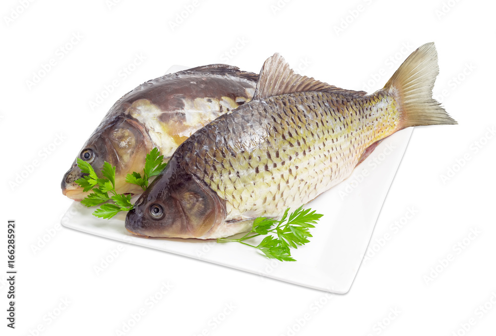 Two different carps prepared for cooking on dish Two different carps prepared for cooking on dish