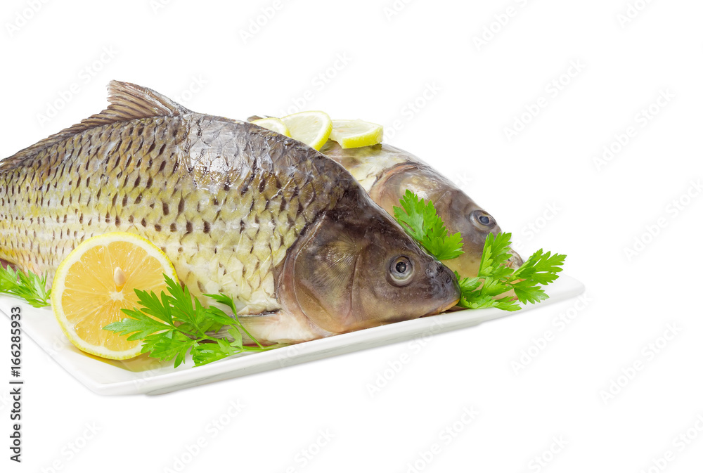 Two different carps prepared for cooking on dish Two different carps prepared for cooking on dish