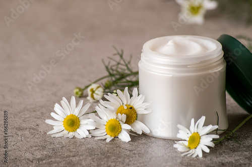 
 Natural cosmetics. A jar with cream for face and body skin care and fresh chamomile flowers on a gray background.