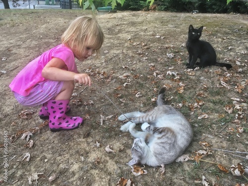 bambina gioca con due gatti photo