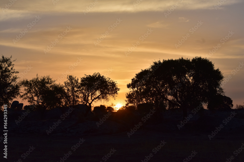 Color sunset Color sunset