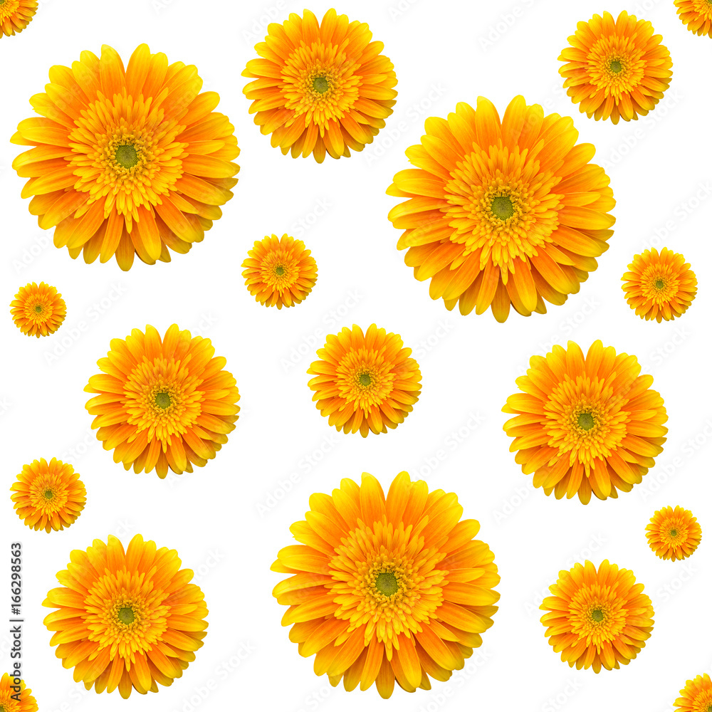 seamless pattern with gerbera flowers seamless pattern with gerbera flowers