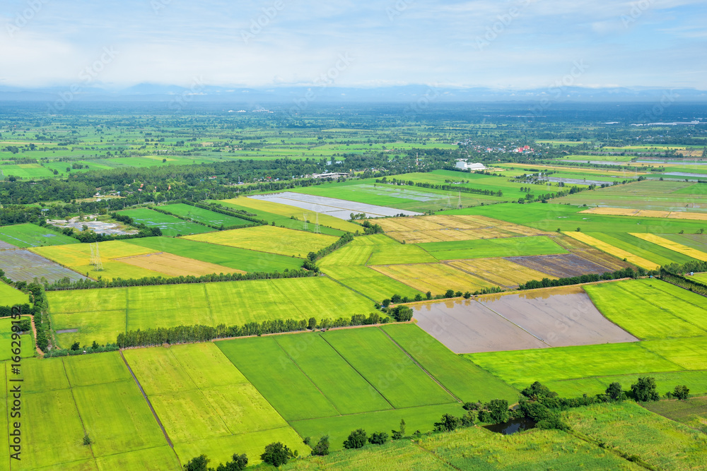 landscape of rice plantation and meadow on rural area in Thailand