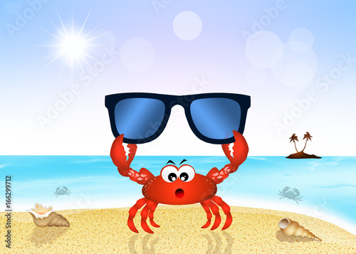 crab with sunglasses on the beach © adrenalinapura
