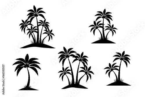 Palm silhouette trees isolated on white background. Beautiful vector palm tree set vector illustration