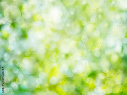 Green abstract nature bokeh background