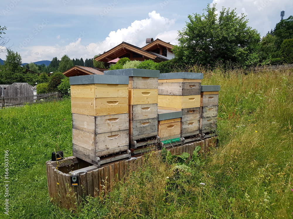 Bienen, Bienenstock, Apis; mellifera Bienen, Bienenstock, Apis; mellifera