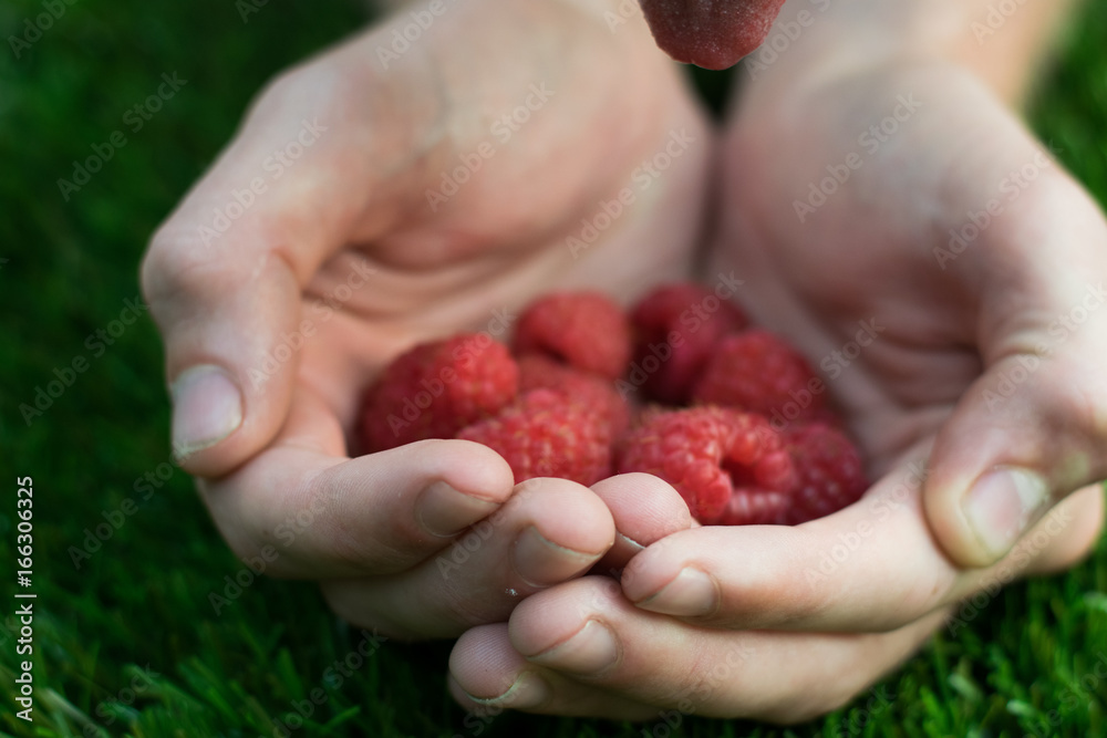 Raspberries Raspberries