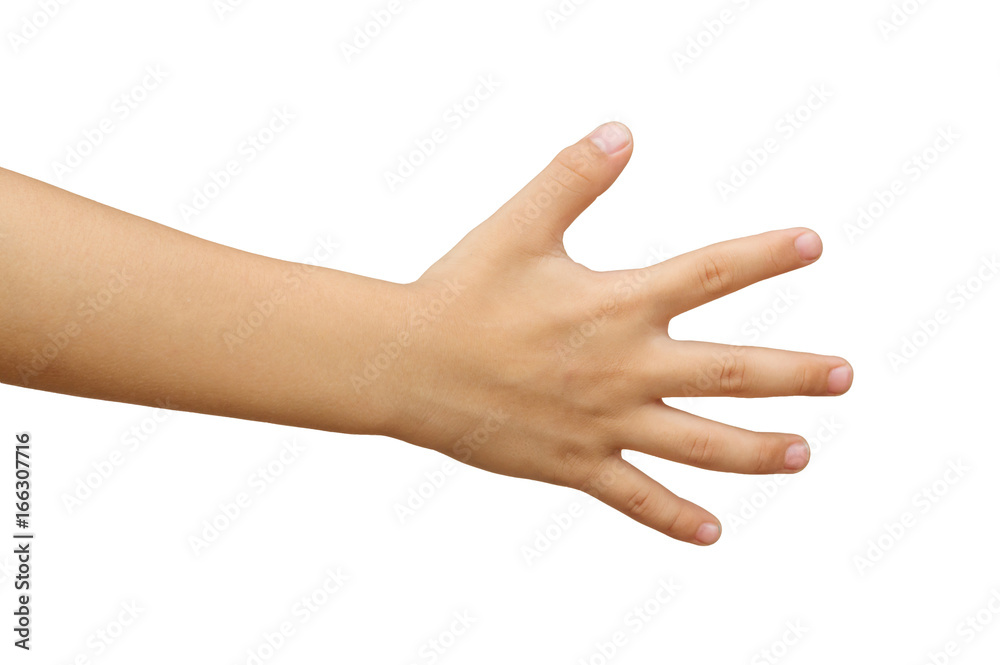 child hand with clipping path.isolated on white background.