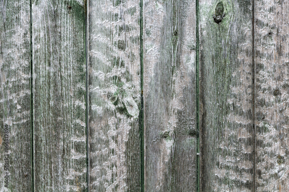 Naklejka premium Holzwand grün mit Maserung